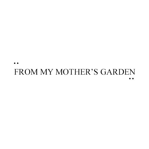 from my mother's garden: dahlia velvet sole