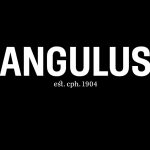 angulus: black leather chelsea boot